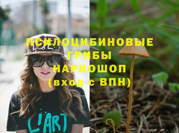 герыч Балахна