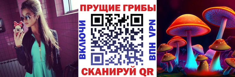 как найти   Северо-Курильск  Псилоцибиновые грибы Magic Shrooms 